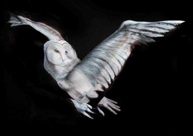 Carousel Image number 5